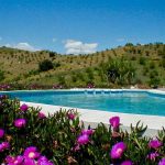 Finca Las Nuevas groot zwembad in de heuvels